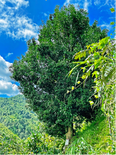 1631613571(1).jpg 1631613571(1).jpg