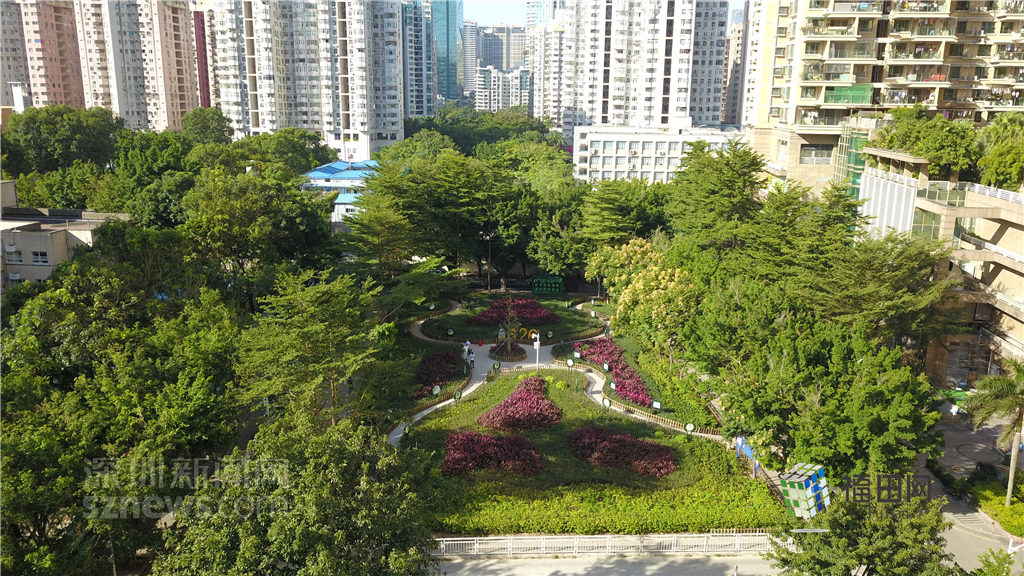  鵬城眼|我的實事我做主！5年辦理“民生微實事”6774件}