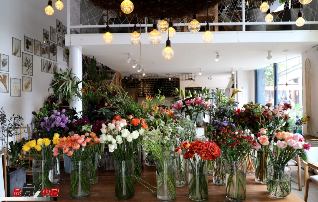 從決定從事鮮花這個行業(yè)以來，王黎媛花了很多的時間和精力去學習花藝，不斷提高自己的專業(yè)水平。而在小店的選址、裝修和布置方面，王黎媛同樣花費了不少心思，“希望我的小店和鮮花一樣，是有溫度的、鮮活的?！绷硗?，小小的花店也藏著大大的夢想，“我們云南鮮花很多，但真正做成品牌的卻很少，這是非?？上У摹Ｎ蚁Ｍ盐业牡曜龀善放?，不光能扎根昆明，還能落地到云南的其他城市，甚至省外的城市。”圖為王黎媛的花店一角。新華網 周亞平/攝 念新洪/文