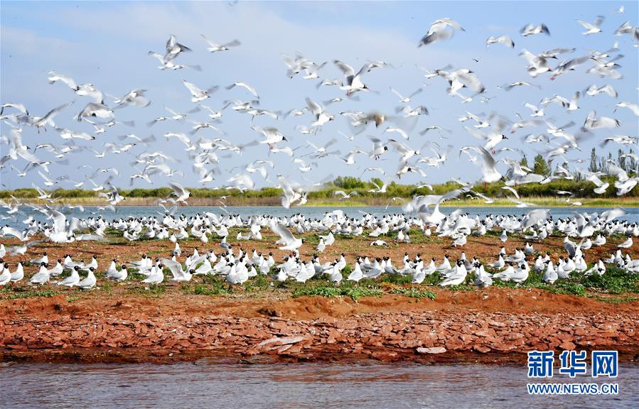 1126044729_15906471768411n.jpg 1126044729_15906471768411n.jpg