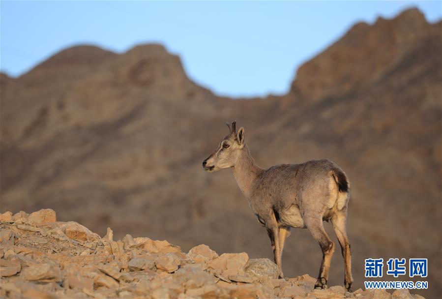 1126044797_15906479534061n.jpg 1126044797_15906479534061n.jpg