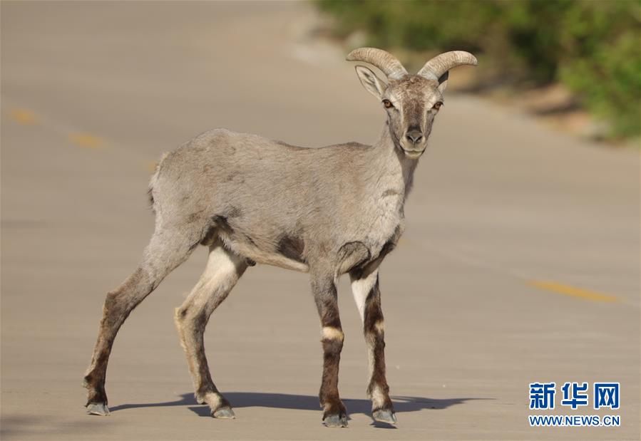 1126044797_15906479533181n.jpg 1126044797_15906479533181n.jpg